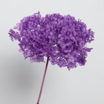 Bouquet de fleurs séchées - Artemio