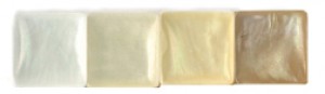 Mosaïque coquillage blanc 10 mm - Artemio